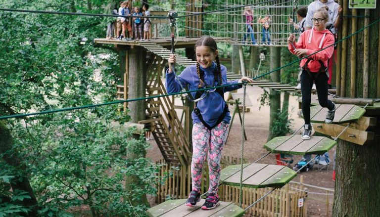 Go Ape Moors Valley Best Of Dorset Attractions