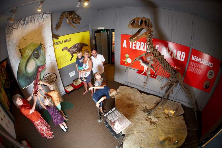 Gallery - Best of Dorset Attractions