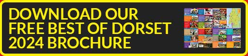 Download our Best of Dorset 2024 Brochure